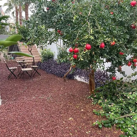 Appart hôtel Abc
